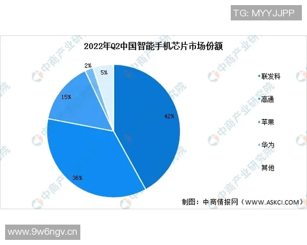 全球视野下的国际合作与竞争新格局：机遇、挑战与未来发展趋势